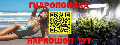прущие крисы Будённовск