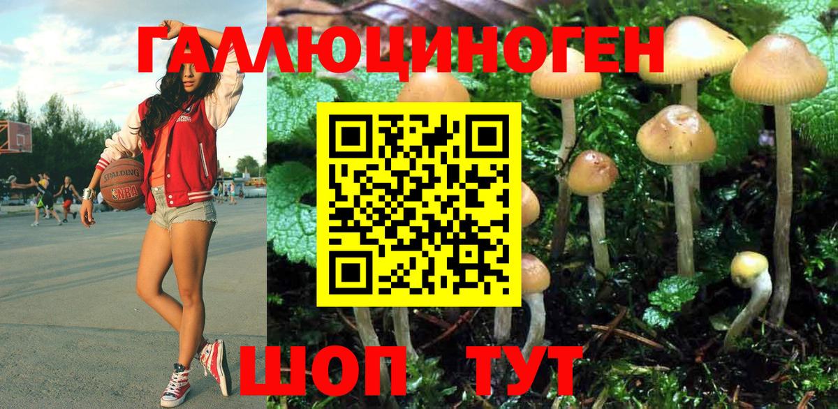 Псилоцибиновые грибы Magic Shrooms Тулун