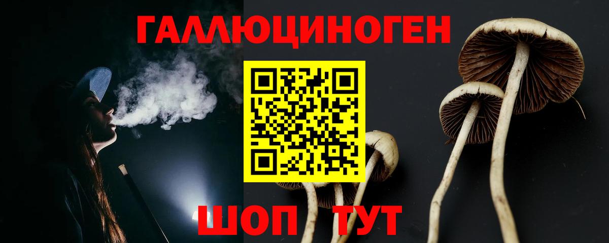 что такое наркотик  Псилоцибиновые грибы мухоморы  Вход с VPN  Тулун 